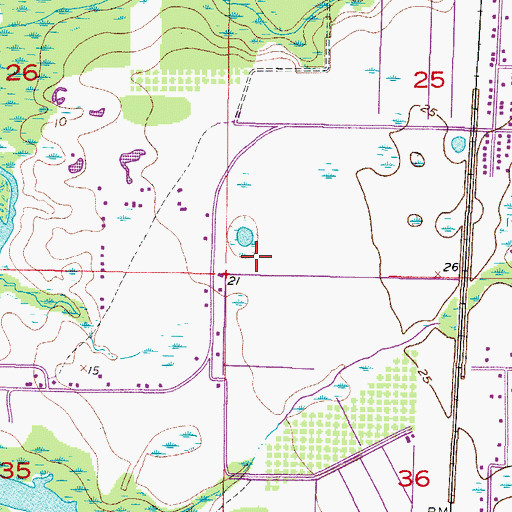 Topographic Map of Sunnybreeze Airport, FL