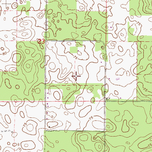 Topographic Map of Z Ranch Airport, FL