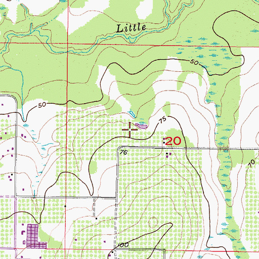 Topographic Map of Gyro Town USA Airport, FL