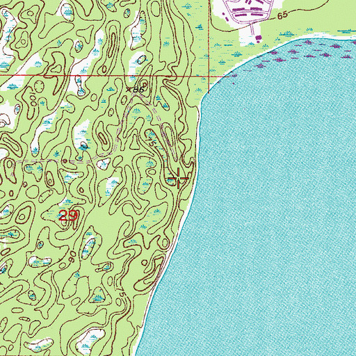 Topographic Map of David Wine's Airstrip, FL