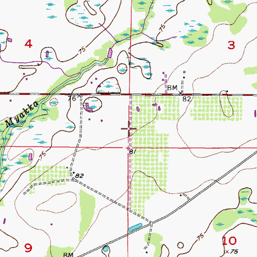 Topographic Map of Myakka Head Airport, FL