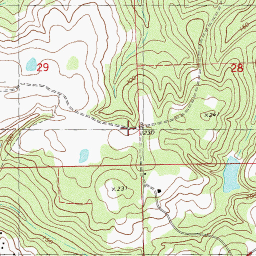 Topographic Map of Dogwood Farm Airport, FL