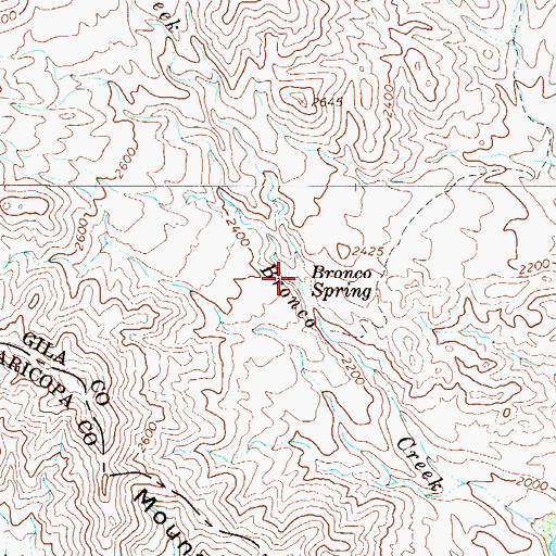Topographic Map of Bronco Spring, AZ