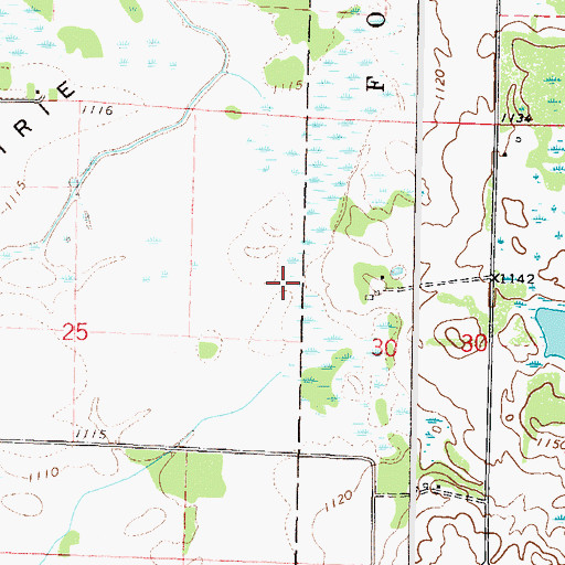 Topographic Map of Tyler Farms Airport, MN