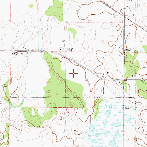 Topographic Map of Brandt Airport, MN