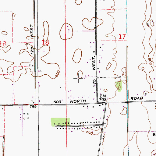 Topographic Map of Berry Field, IN