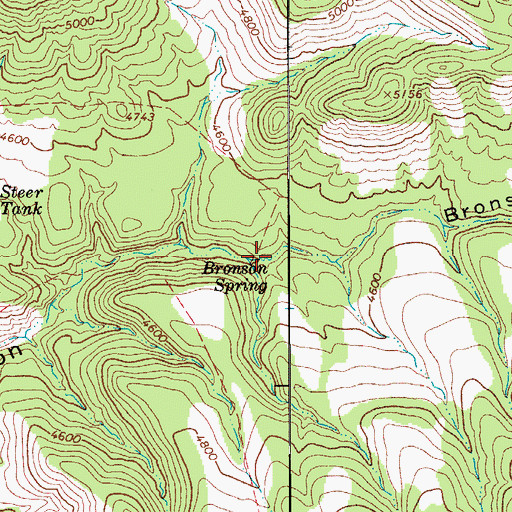 Topographic Map of Bronson Spring, AZ