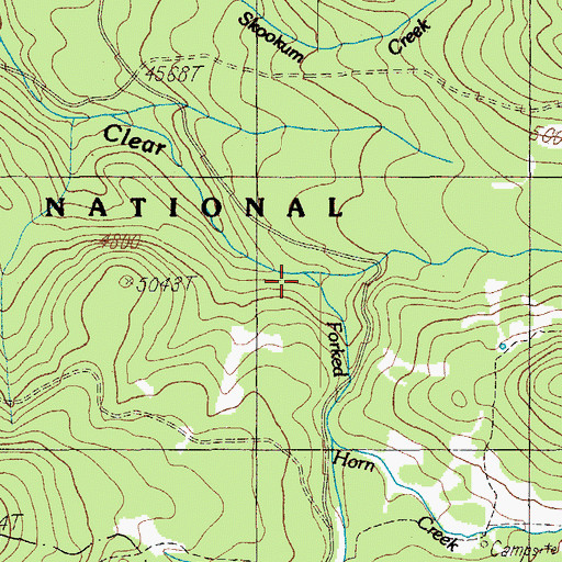 Topographic Map of Forked Horn Creek, OR