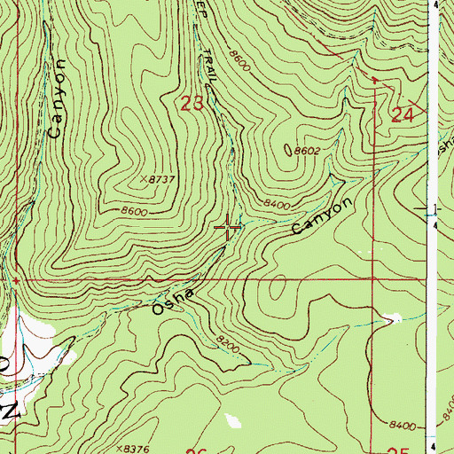 Topographic Map of El Camino Real, NM