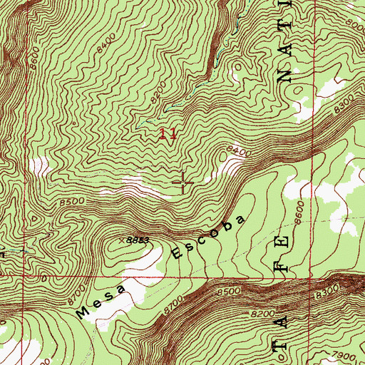 Topographic Map of Temoline Trick Tank, NM