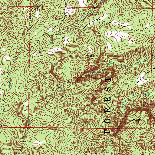 Topographic Map of Cerro Spring, NM