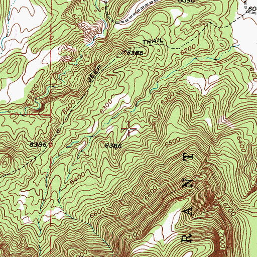Topographic Map of Trail Spring, NM
