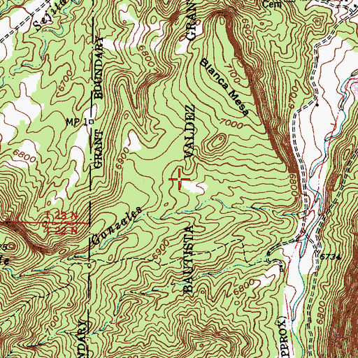 Topographic Map of Juan Bautista Valdez Grant, NM