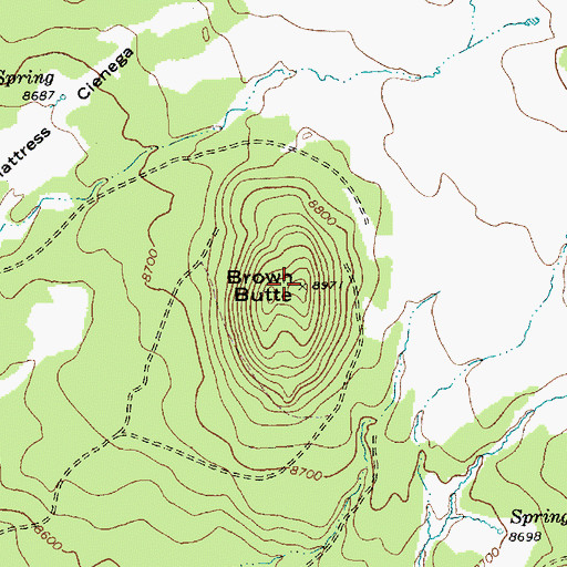 Topographic Map of Brown Butte, AZ