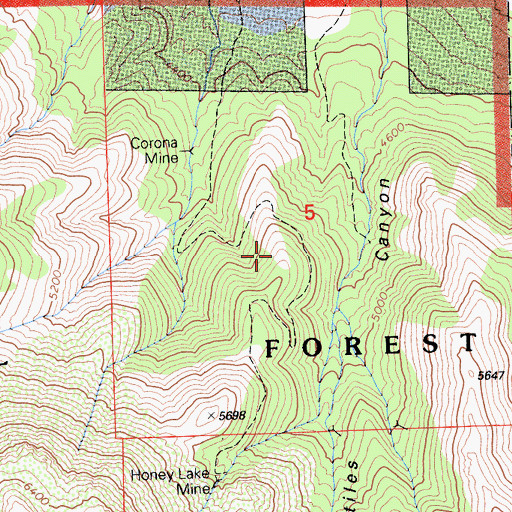 Topographic Map of Honey Lake Pit, CA