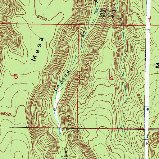 Topographic Map of Potrero One Spring, NM