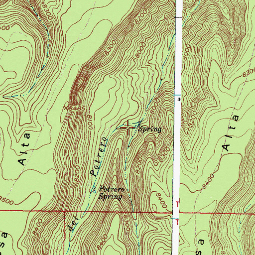 Topographic Map of Potrero Four Spring, NM