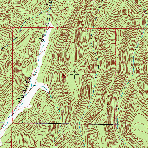 Topographic Map of Little Bear Spring, NM