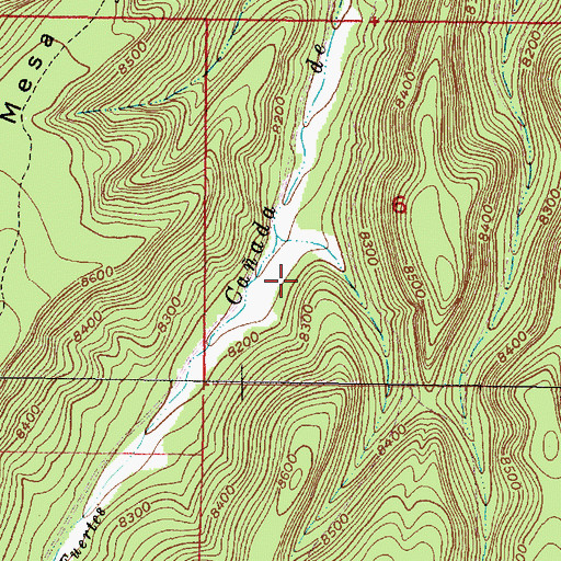 Topographic Map of Lower Fuertes Spring, NM