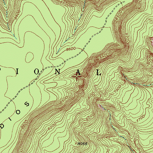 Topographic Map of Rincon Spring, NM