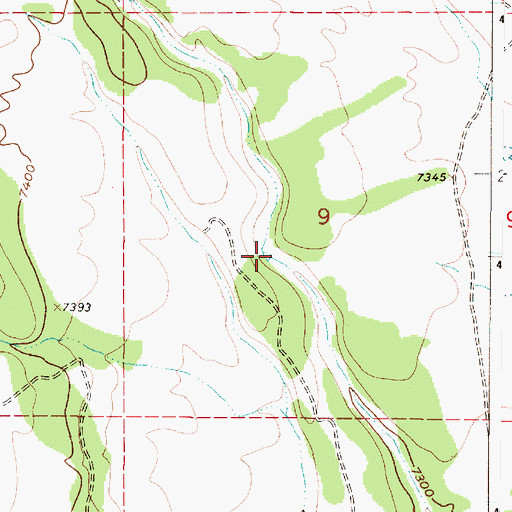 Topographic Map of Bailey Tank Number 2, NM