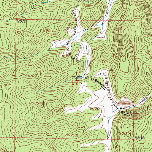 Topographic Map of Truck Trail Tank, NM