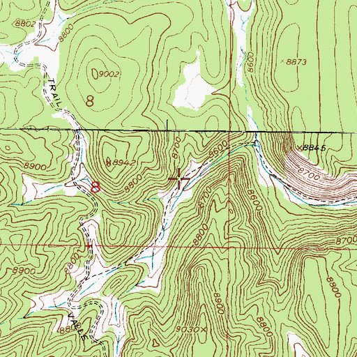 Topographic Map of Calavera Spring, NM