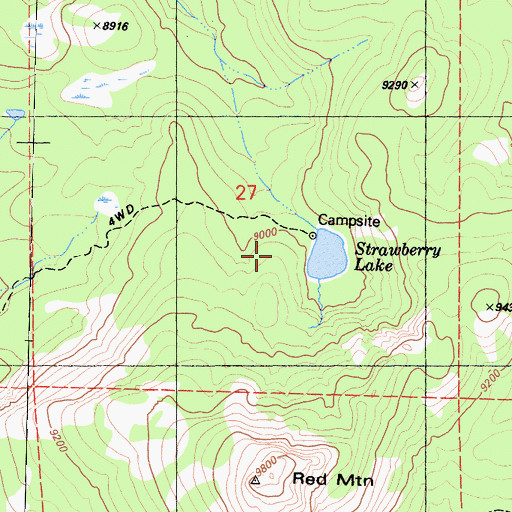 Topographic Map of Strawberry Lake, CA