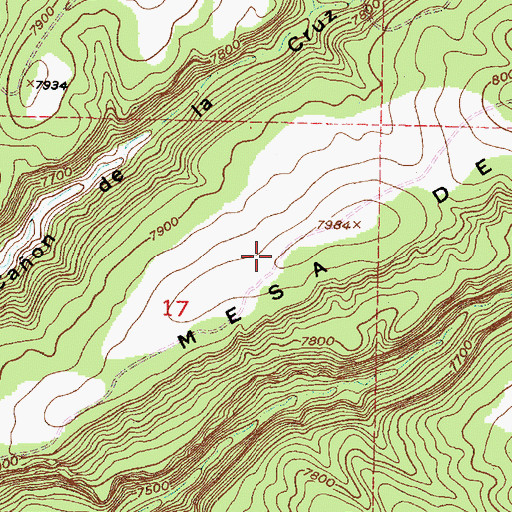 Topographic Map of West Trick Tank, NM