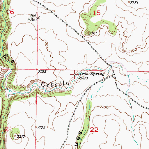 Topographic Map of Iron Spring, NM
