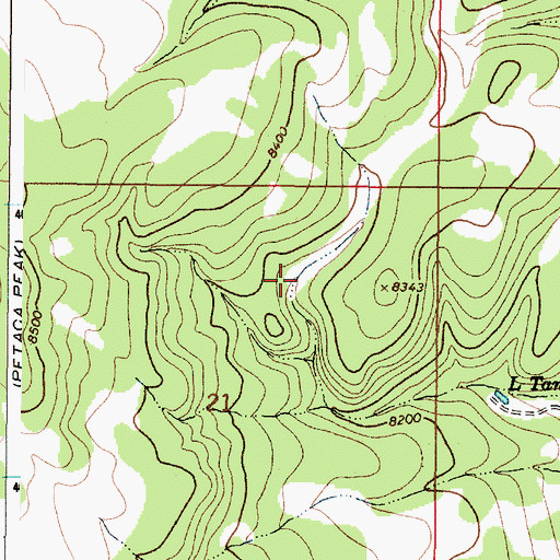 Topographic Map of Rincon Tank, NM