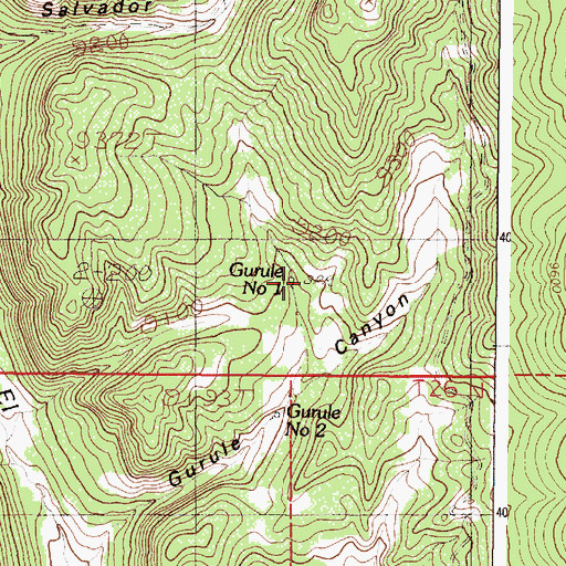Topographic Map of Gurule Spring Number One, NM