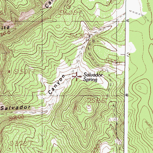 Topographic Map of Salvador Spring, NM