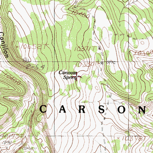 Topographic Map of Canovas Spring, NM