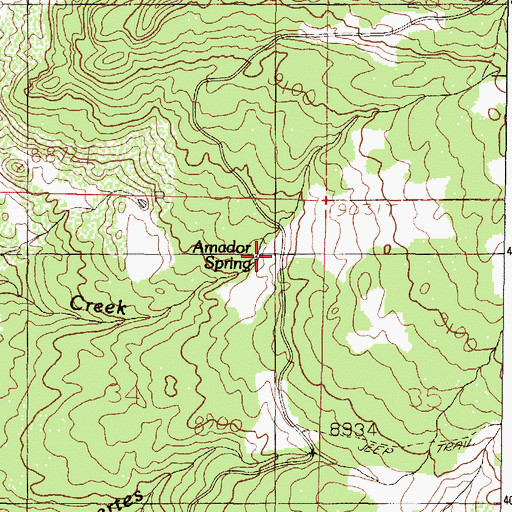 Topographic Map of Amador Spring, NM