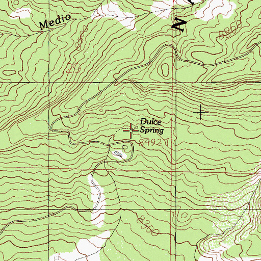 Topographic Map of Dulce Spring, NM