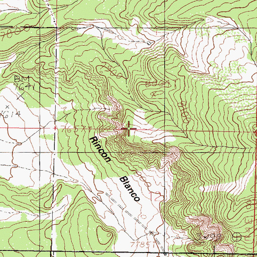 Topographic Map of Rincon Blanco, NM