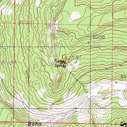 Topographic Map of Turkey Spring, NM