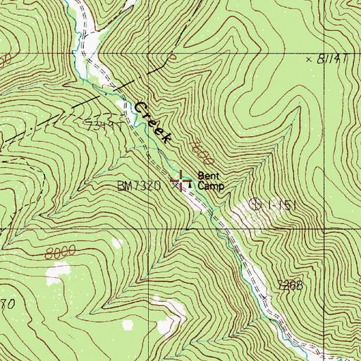 Topographic Map of Bent Camp, NM