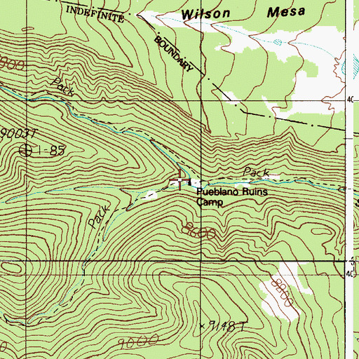 Topographic Map of Pueblano Ruins Camp, NM