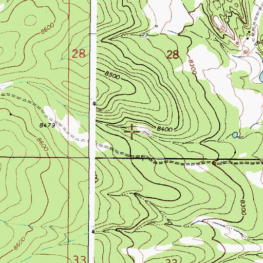 Topographic Map of Black Tank, NM