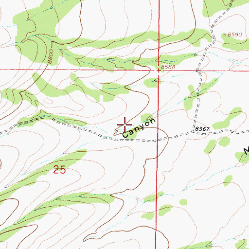 Topographic Map of Mule Canyon Number Three Tank, NM