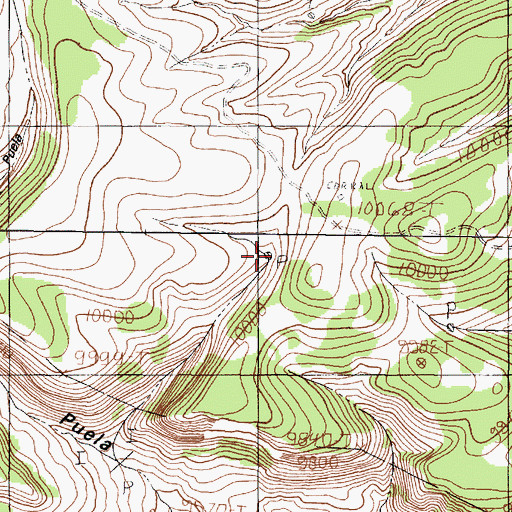 Topographic Map of Danny Tank, NM