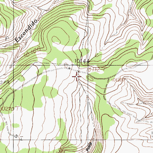 Topographic Map of Caon Puela, NM