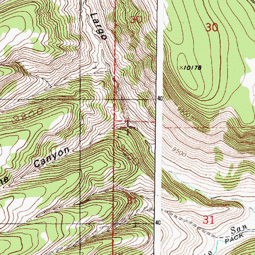 Topographic Map of Telephone Canyon, NM