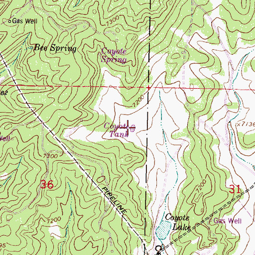 Topographic Map of Coyote Tank, NM