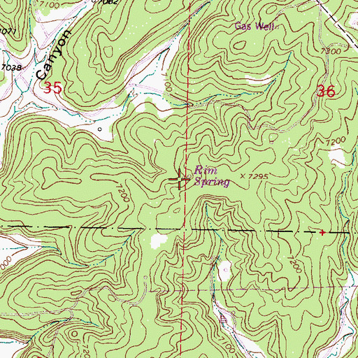 Topographic Map of Rim Spring, NM