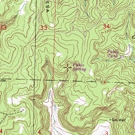 Topographic Map of Pablo Spring, NM