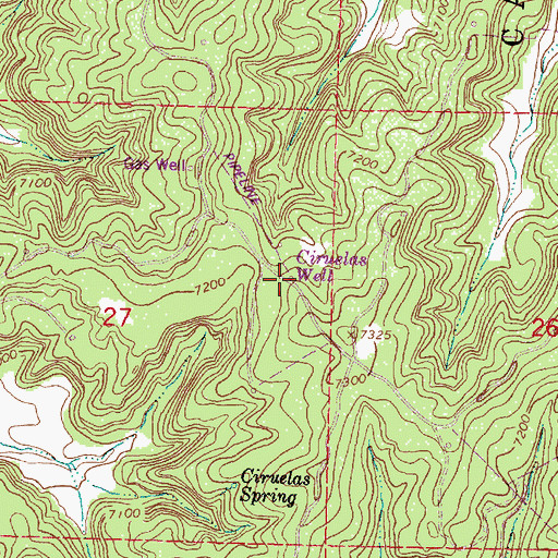 Topographic Map of Ciruelas Well, NM