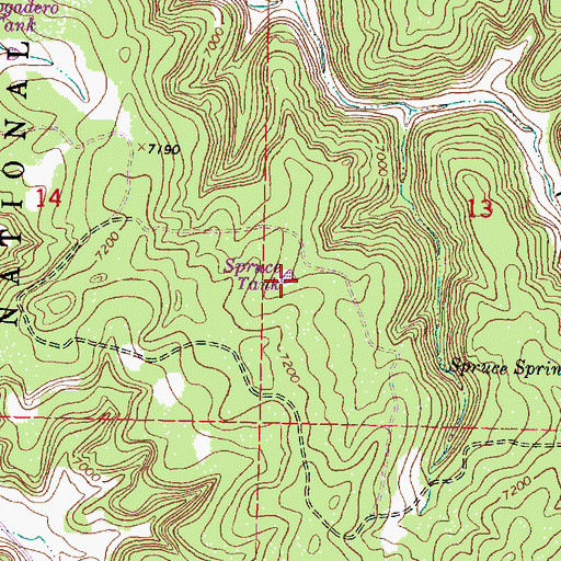 Topographic Map of Spruce Tank, NM